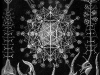 Phaeodaria
